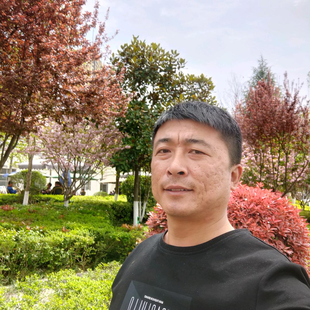 换枕刘哥