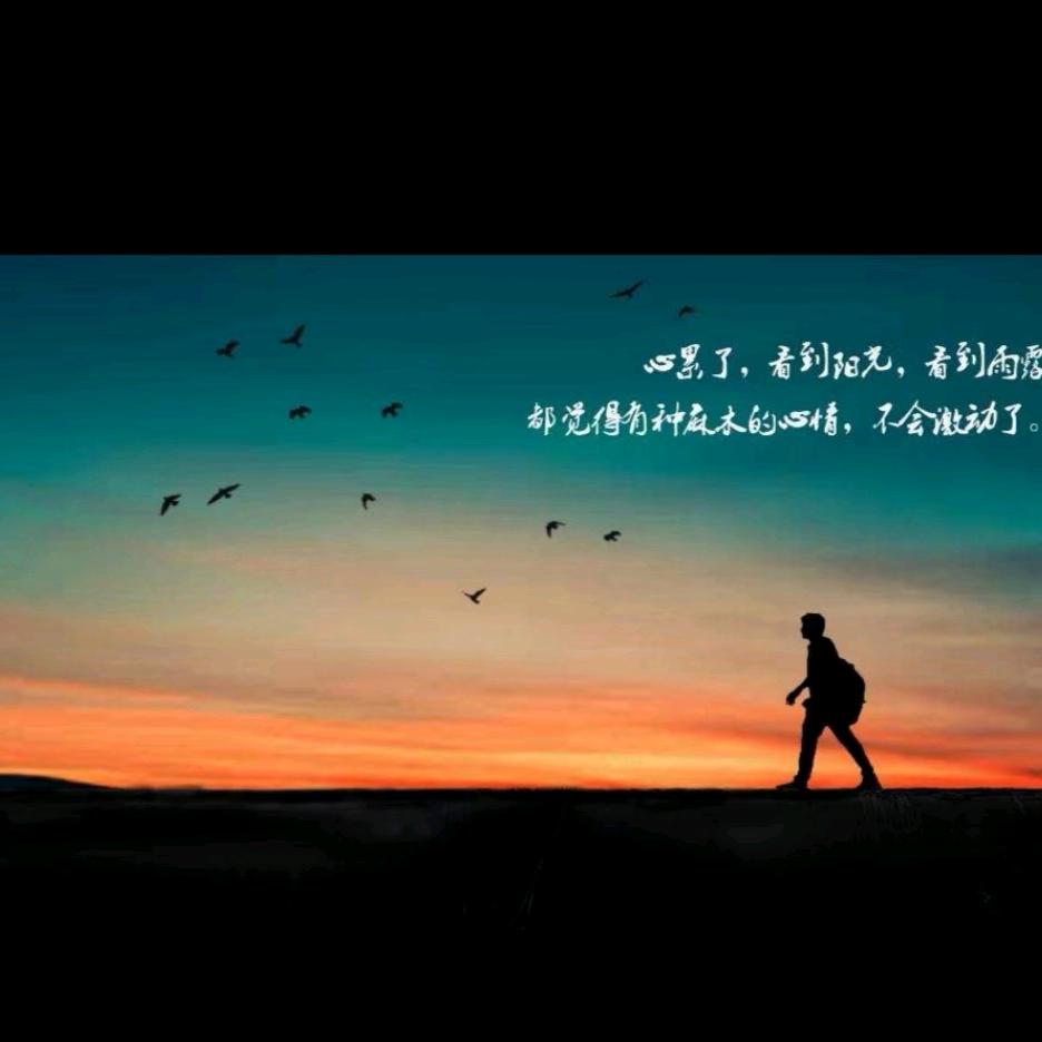 青衣江畔dy1h4e331bi1
