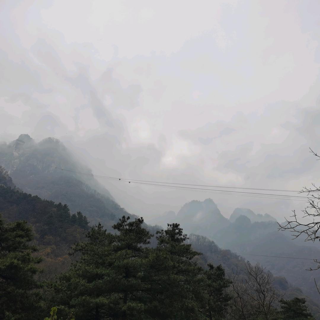 尊域茗茶