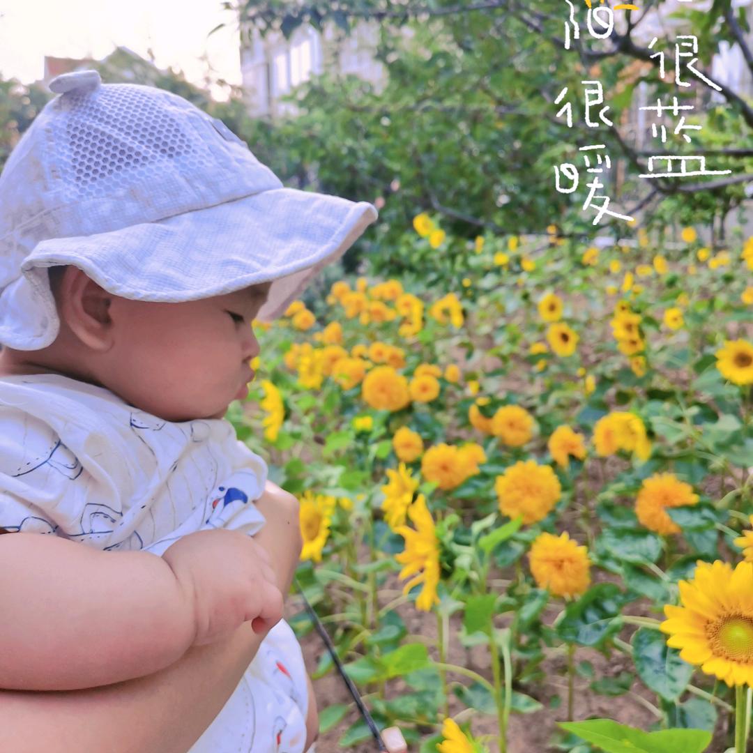 赫宝来啦💕