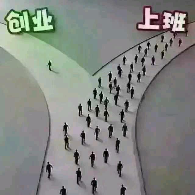 牧草黑猪