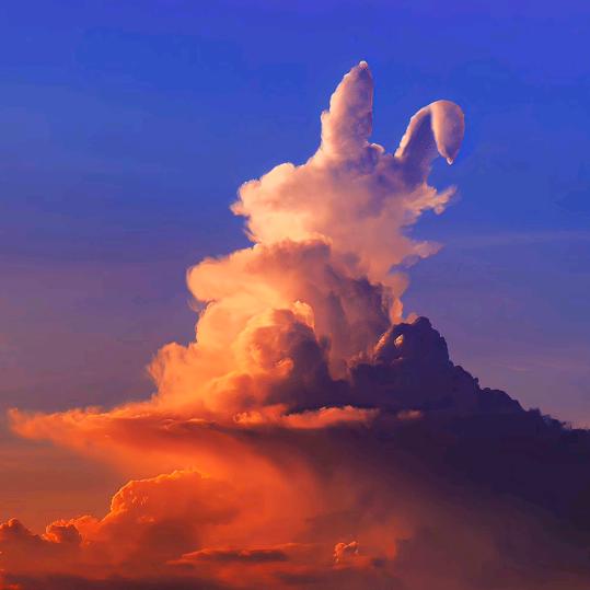 太阳当空赵月宝