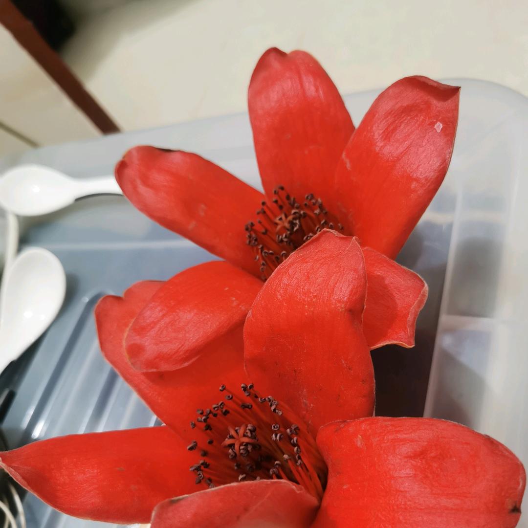 佛山市金祥丽纸制品有限公司