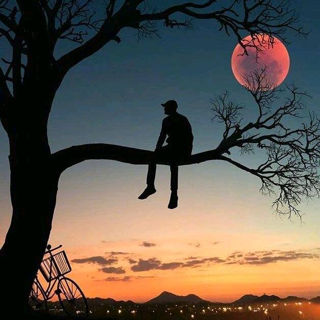 一切尽在不言中