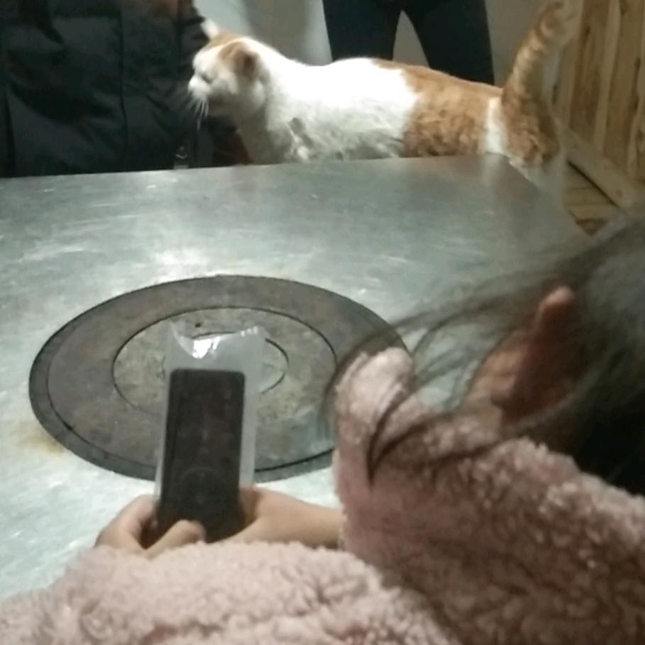 ✨幸福💟一生..✨