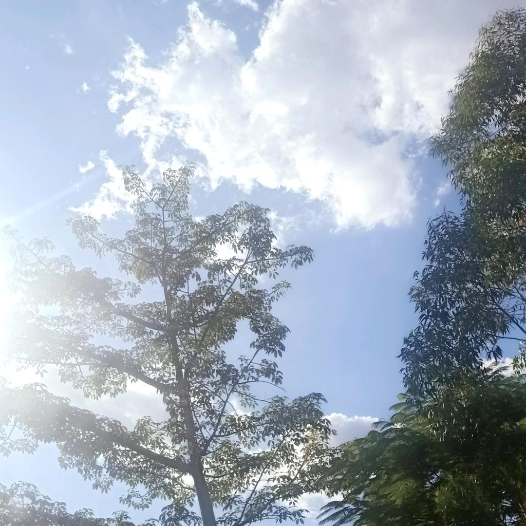 A玲儿