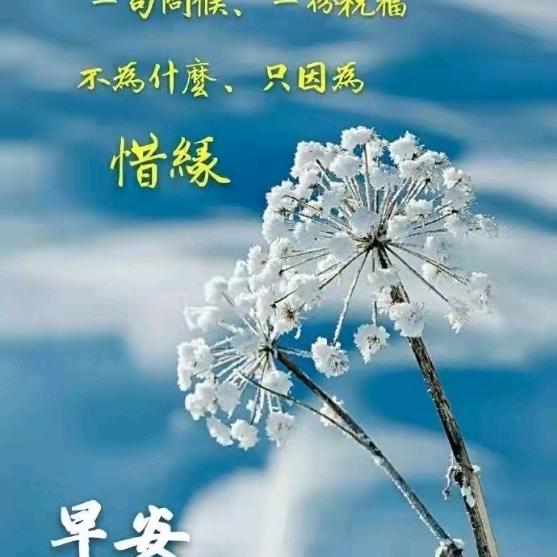 绝傲天下