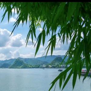 时间证明☘️🎍