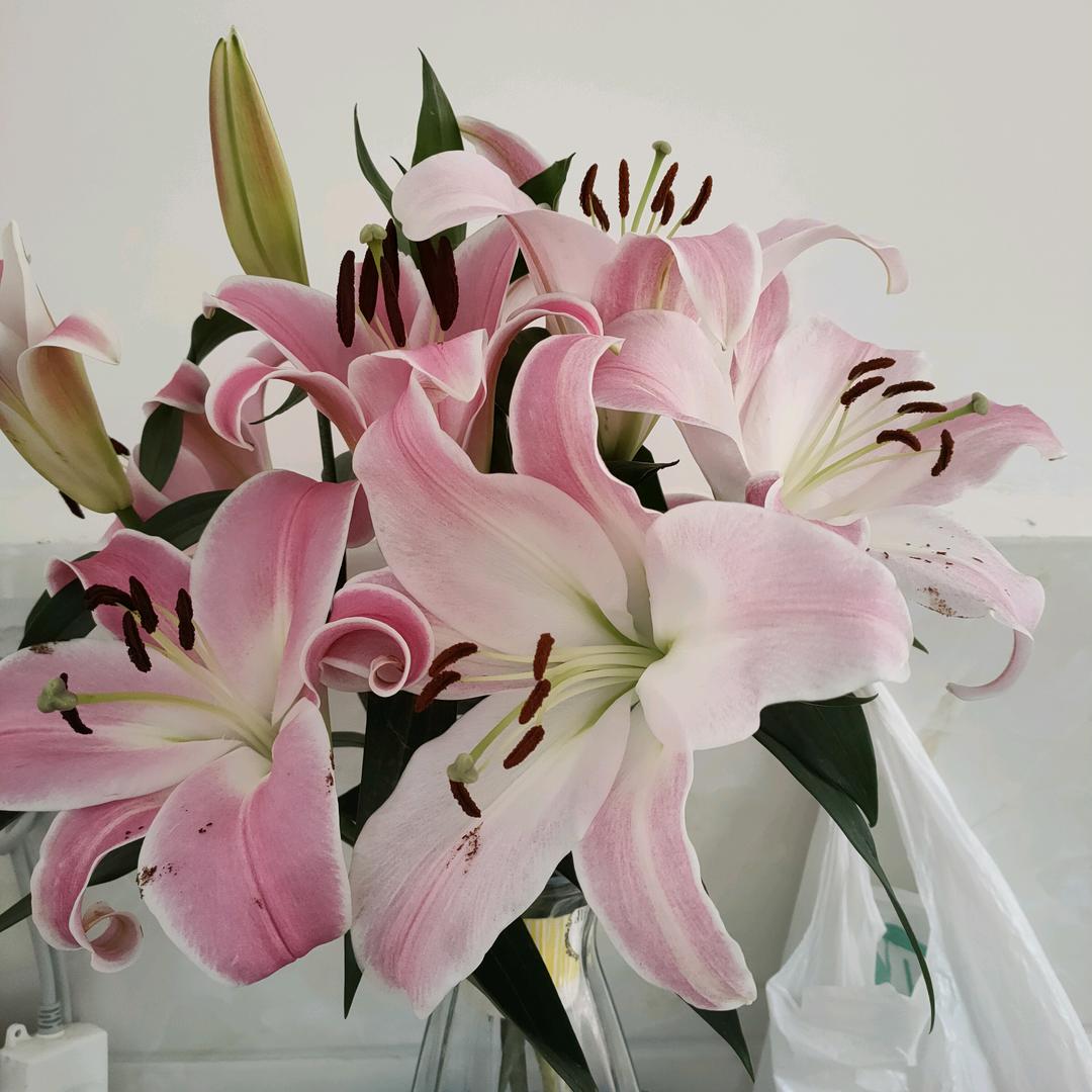 傲慢的我，幸好有你