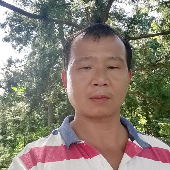 一生无悔