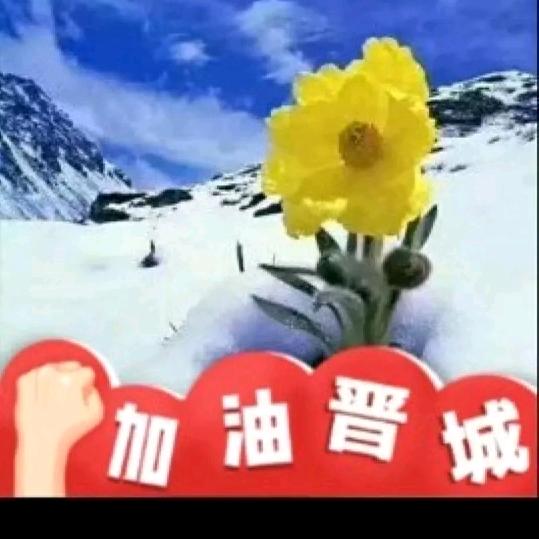 冰蓝王
