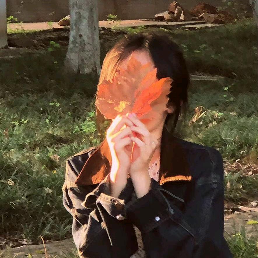 一只皮卡丘