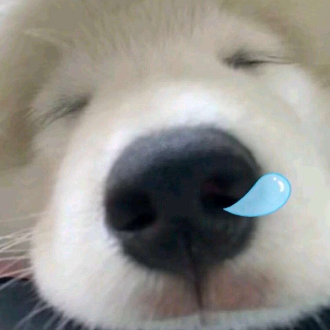 𝟳