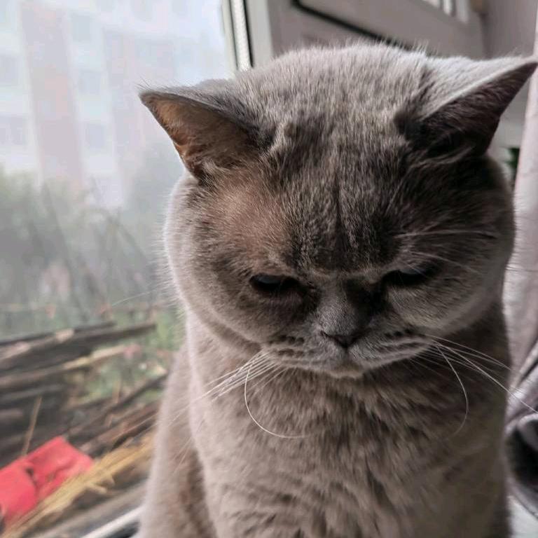 在水一方AAA