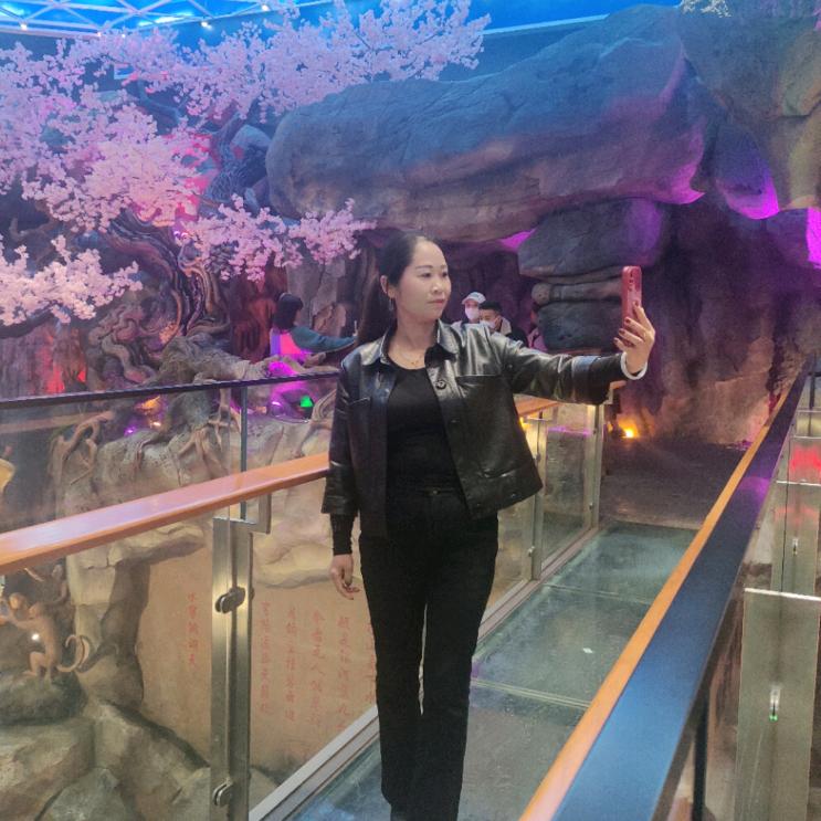 单身的我谁会懂