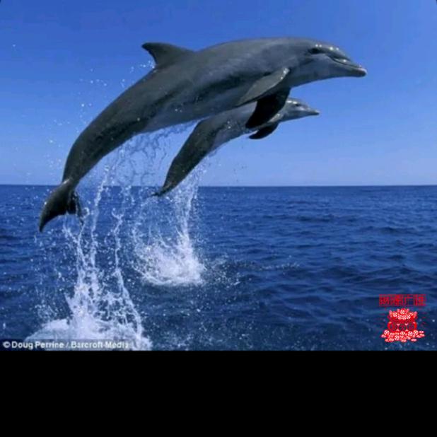 嘉媛·聚品纹绣