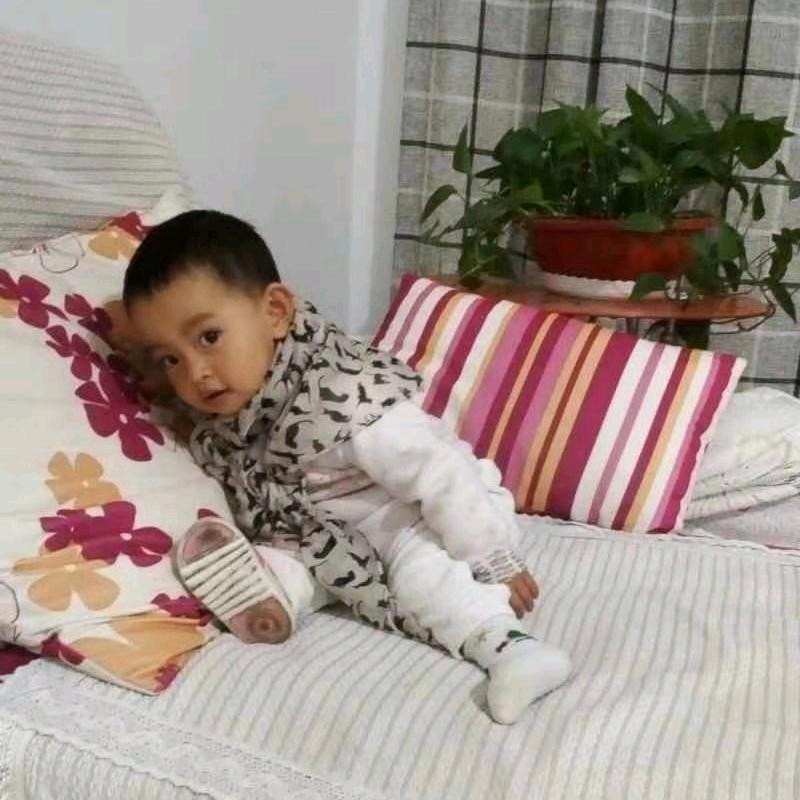 博达飞宠物用品店