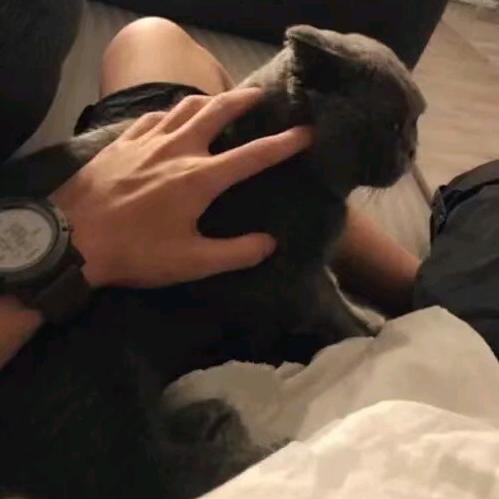 一杯可可大牛奶