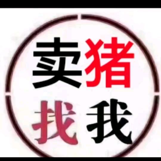 彬哥买猪
