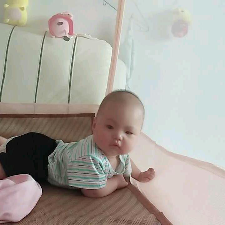 阳阳（出售家里养的正宗小山羊）