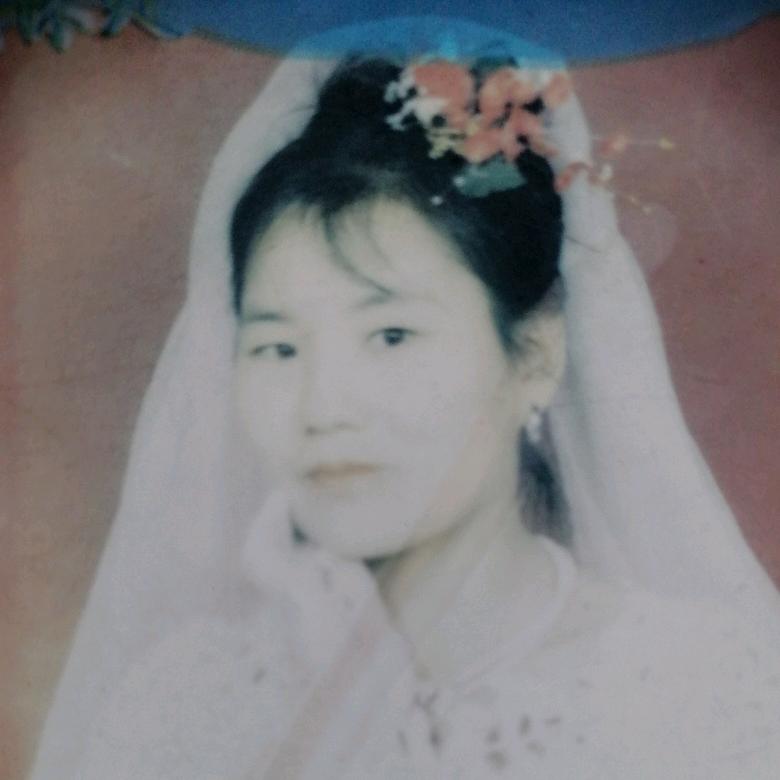 qin4017