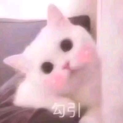 不长心的瓶子
