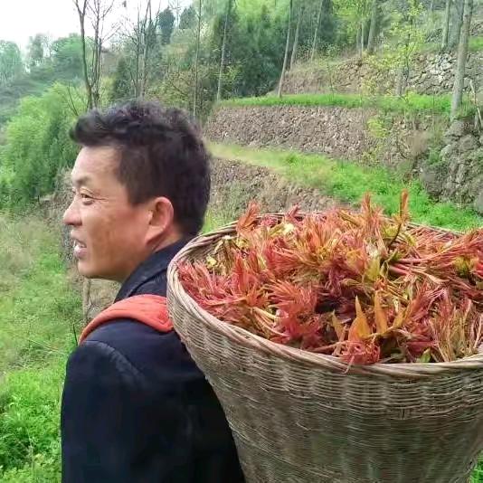 庙子岭的记忆
