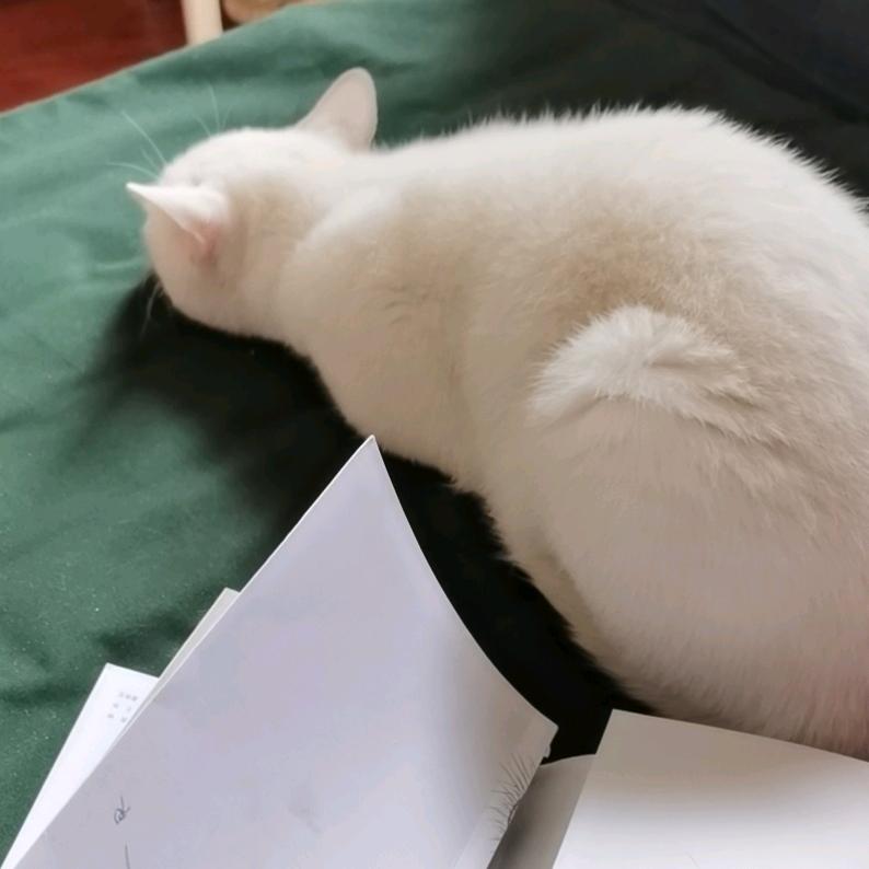 一个疯雅的女子@抖音