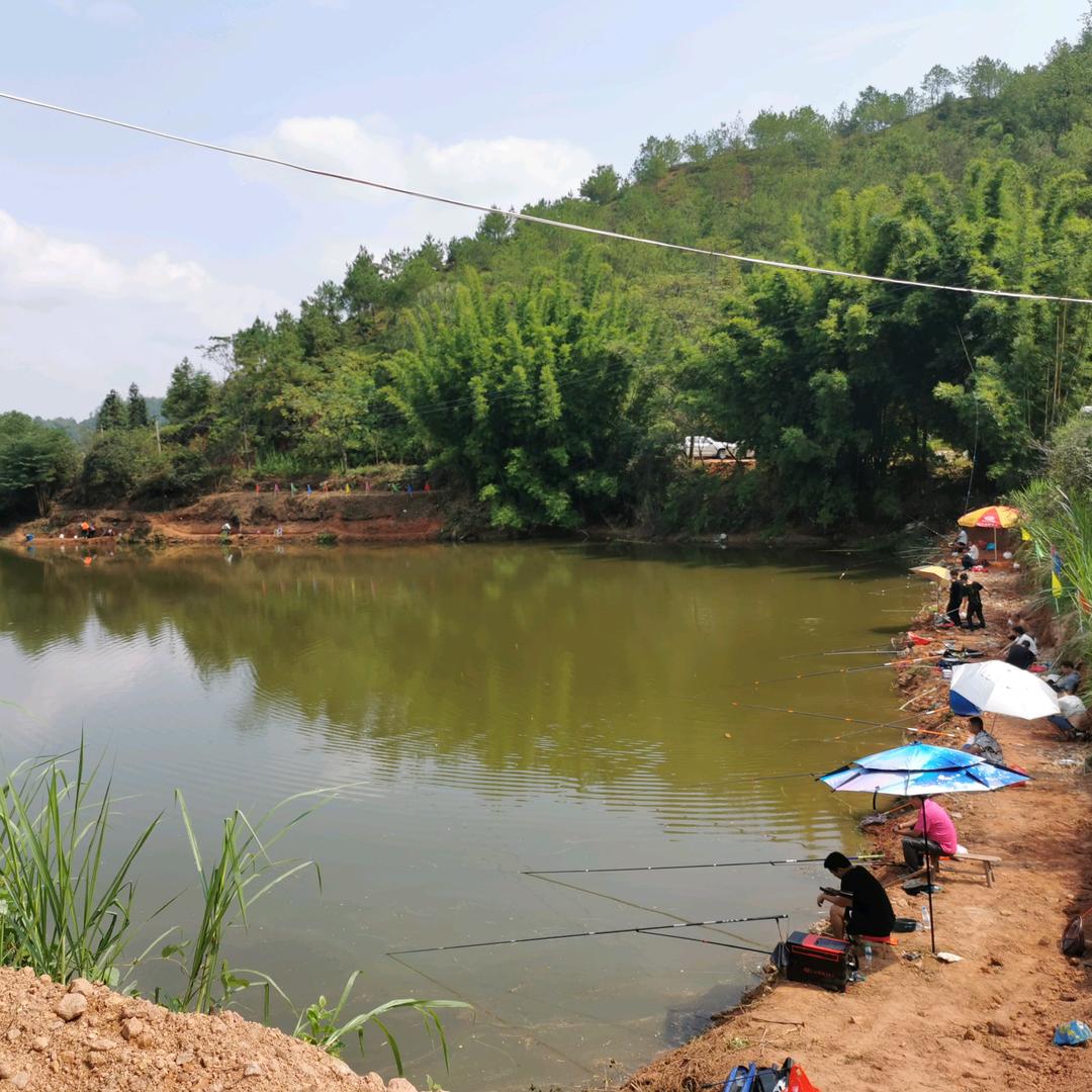 黄田水库钓场