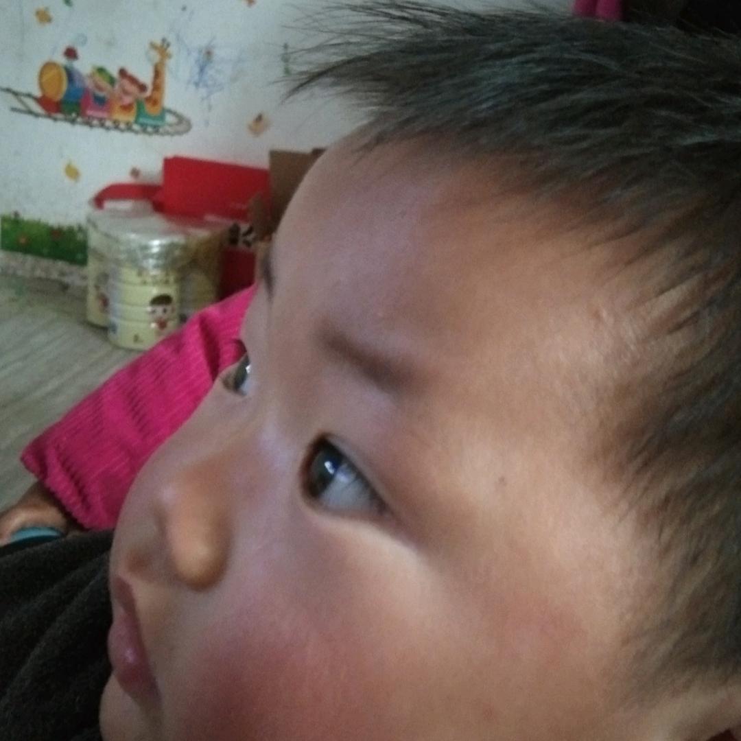 马侠