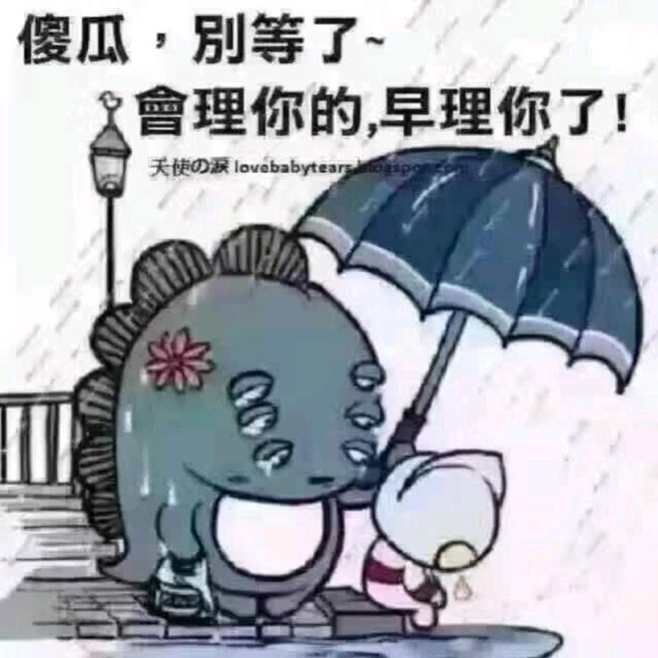 <o可惜不是你o>
