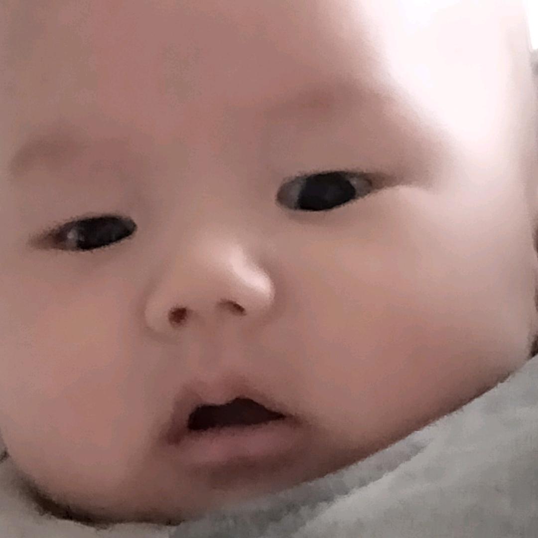 刘