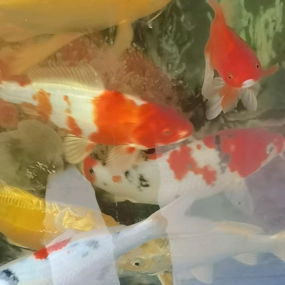 更上一层楼