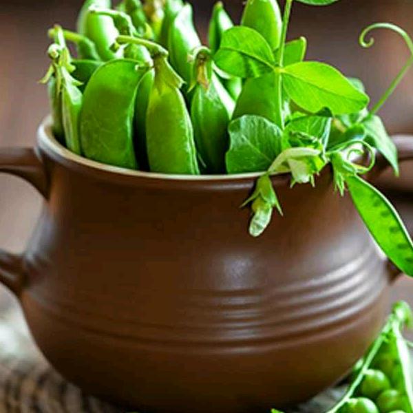 （大浦东的茶担生活）老班长