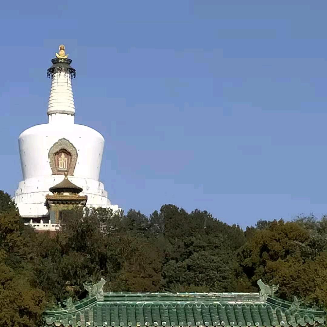 阿林专注做矿山