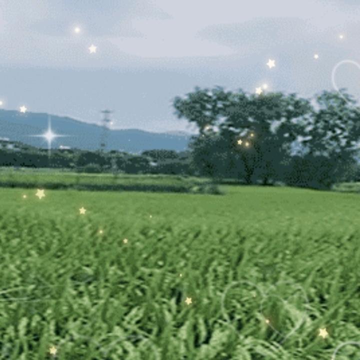 嘉庆