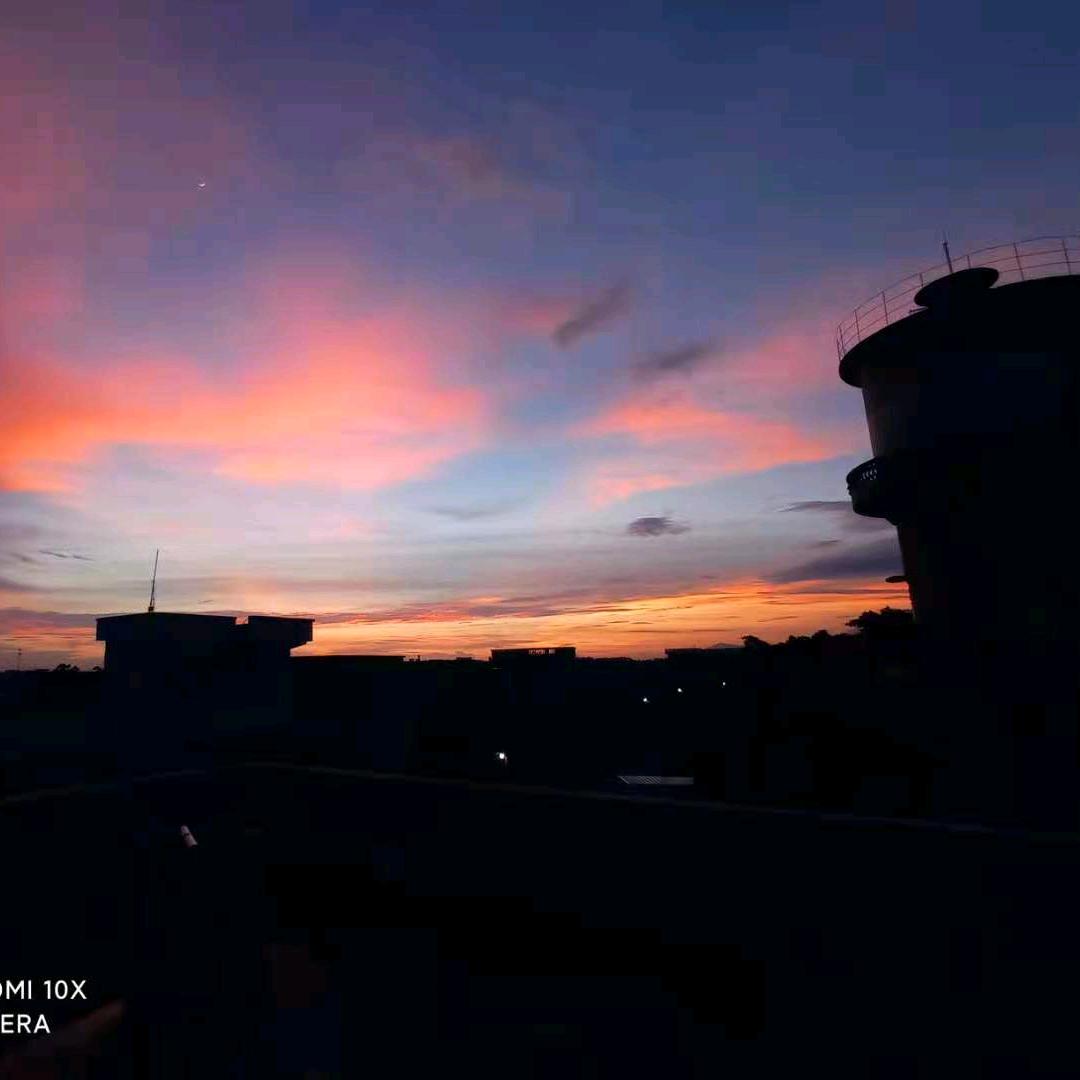 不爱吃🥦的🕷