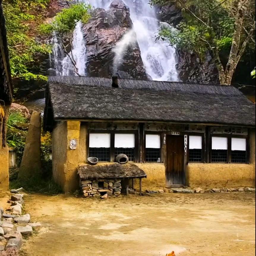 老五门