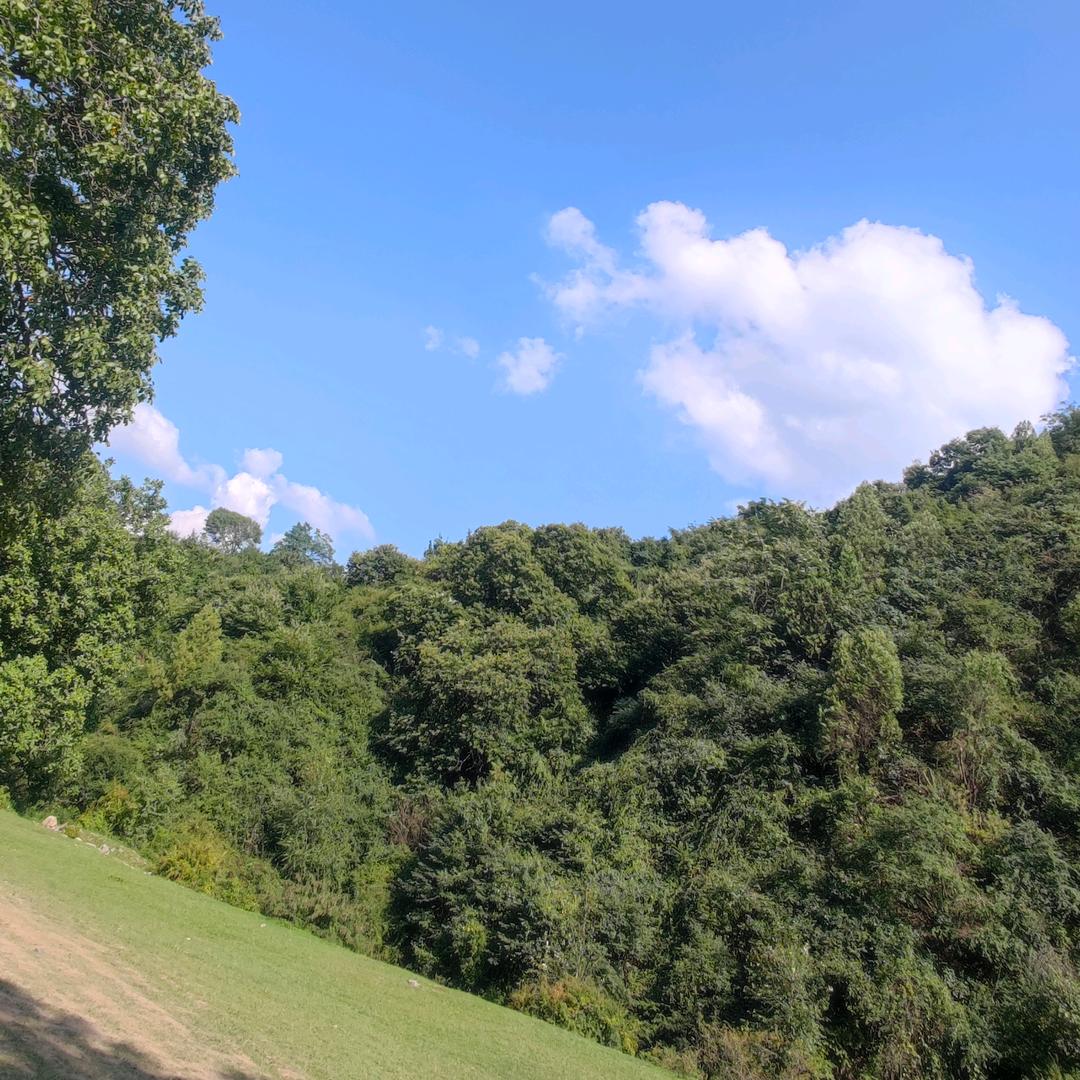 坦克丶小龙虾🦐