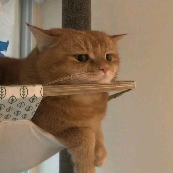 心情￥