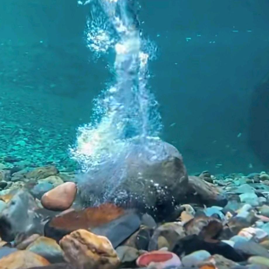 餐饮调味料定制