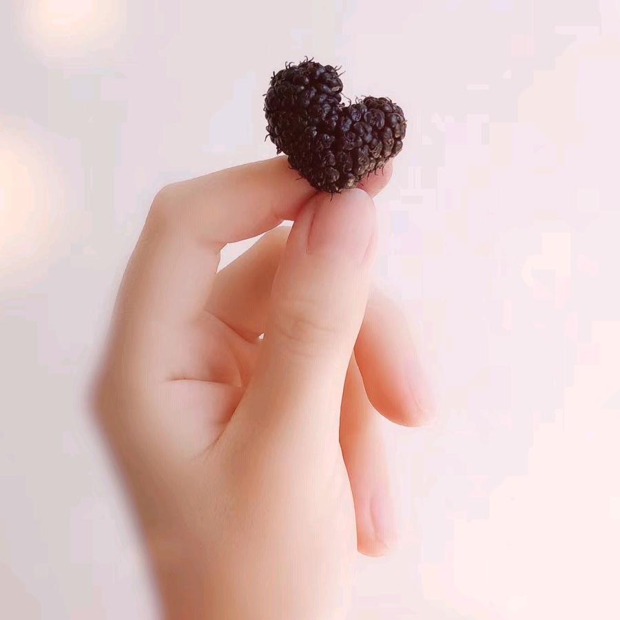 水清无鱼