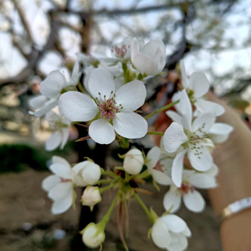 人不狠站不稳_65029