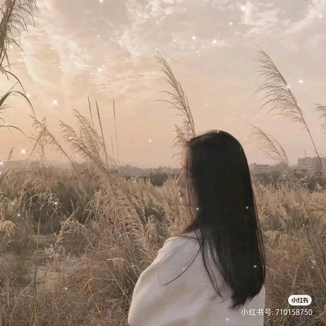 橙姐