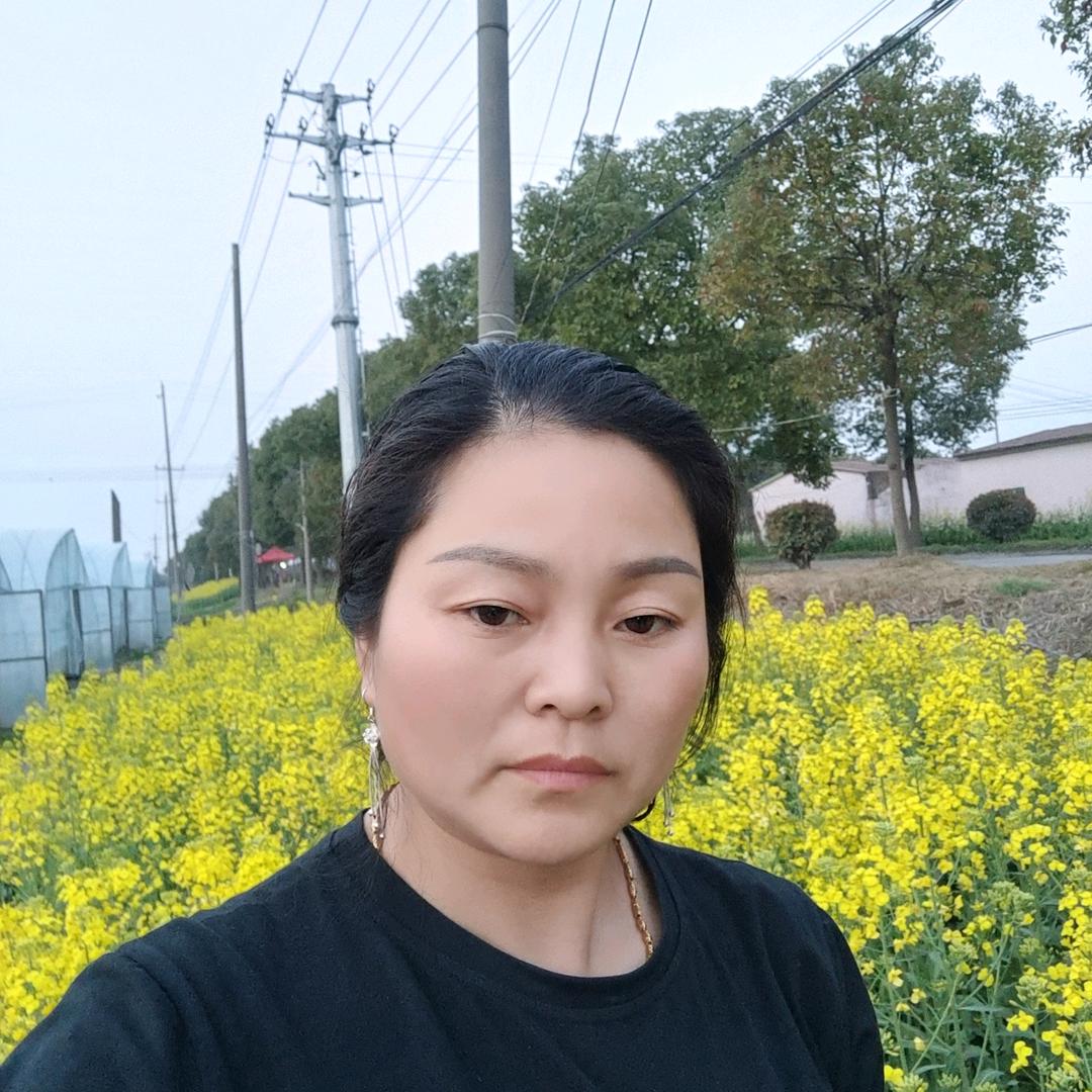 大侠草莓生姜种植园