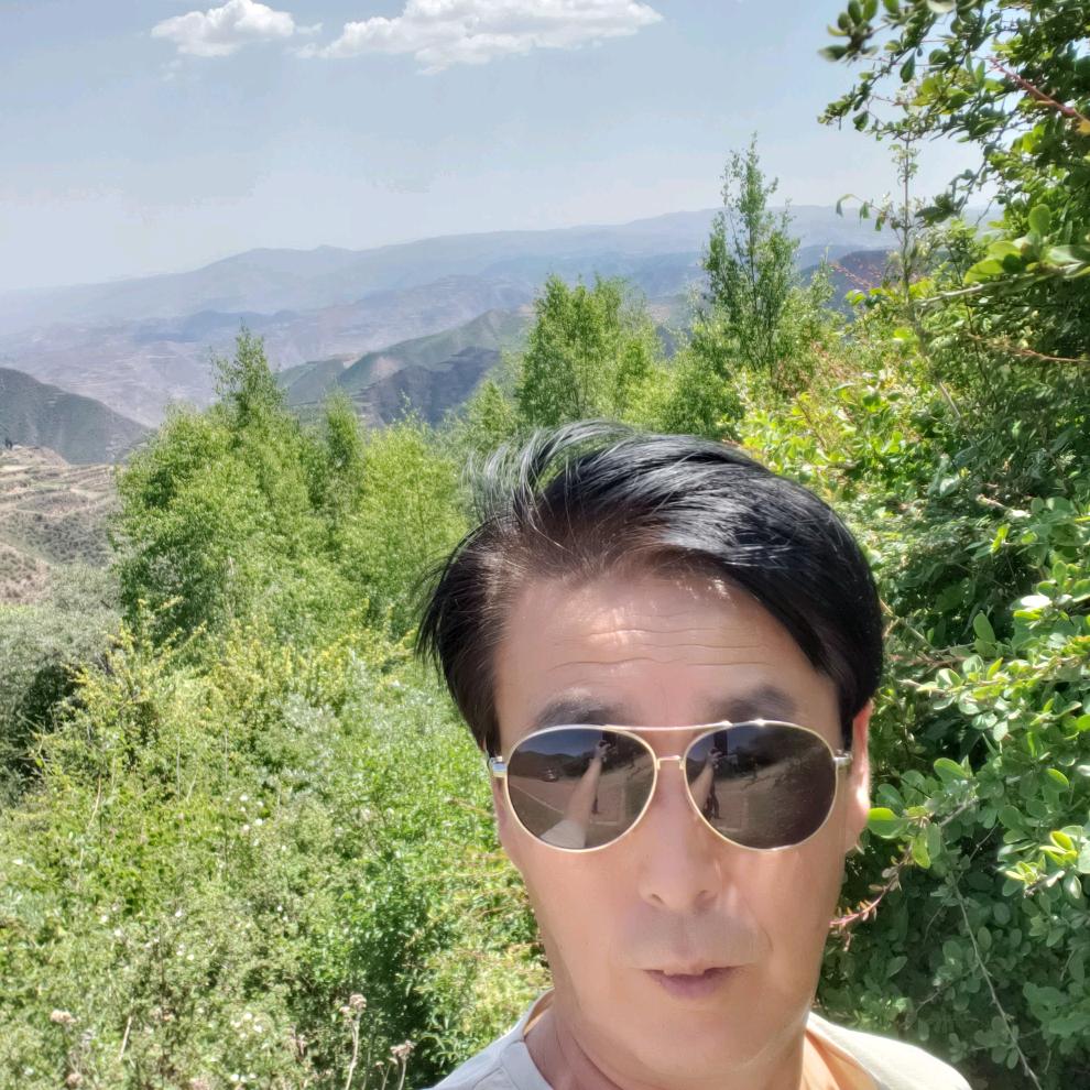 一片绿洲