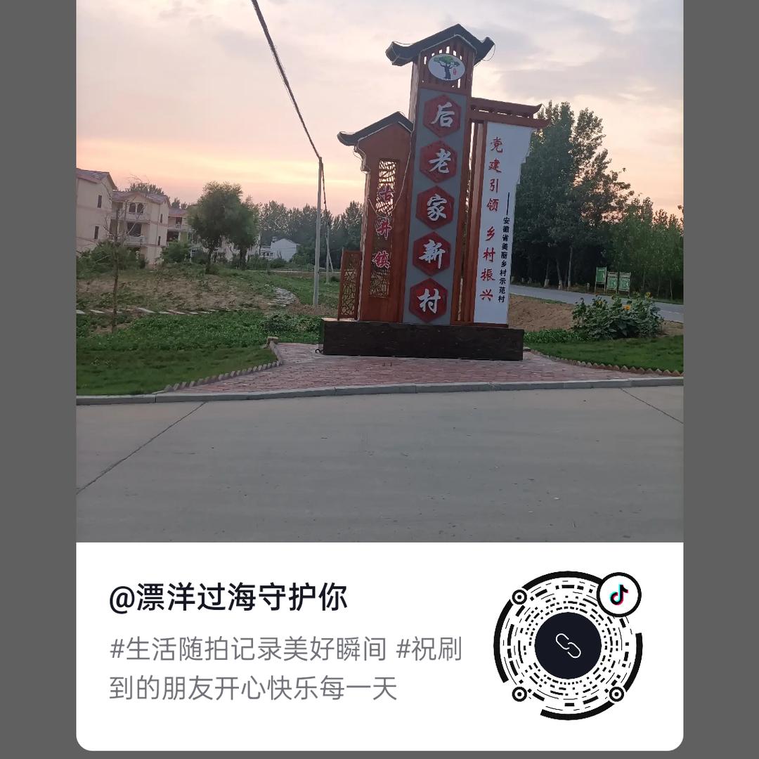 心己碎