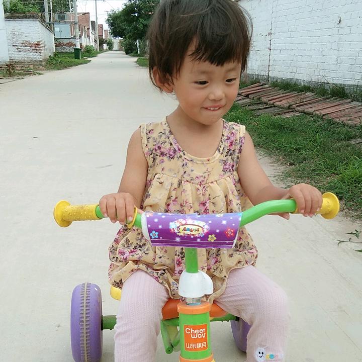 何去何从