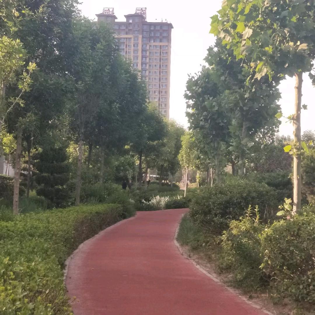 书山有路