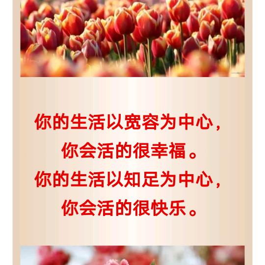 美丽雄安